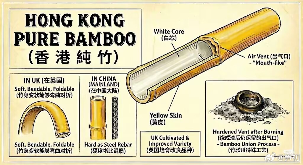 你看，当竹子🎍有了意识形态，可以比钢铁还坚硬！