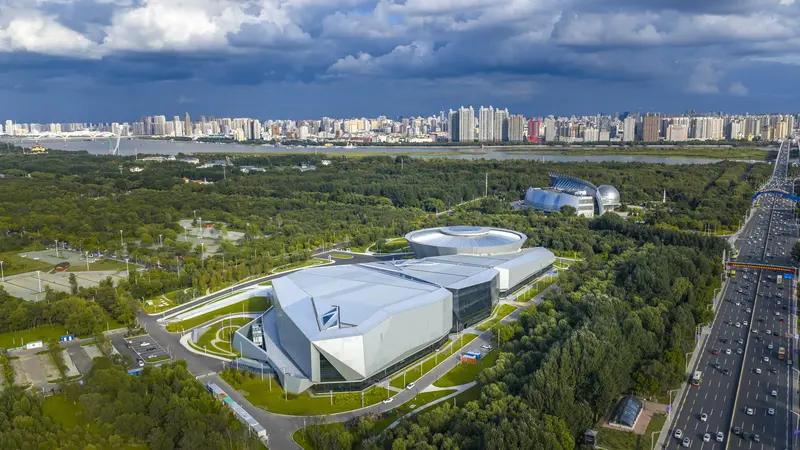 你们说黑龙江省没有一支属于自己省的篮球队儿，是不是有点儿遗憾？

黑龙江省篮球人