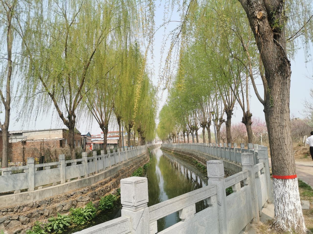 前一阵子，我看过一篇文章，说人过六十就不要再上坟烧纸了。我不以为然。今天，又看到