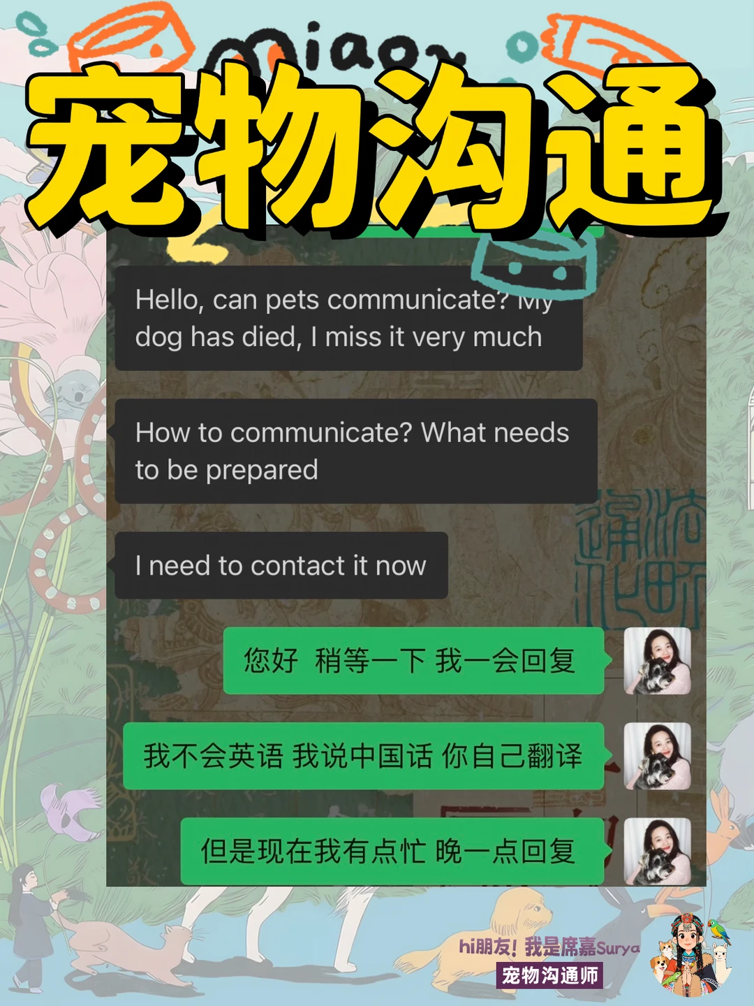 宠物沟通｜毛孩子会用什么方式和你告别