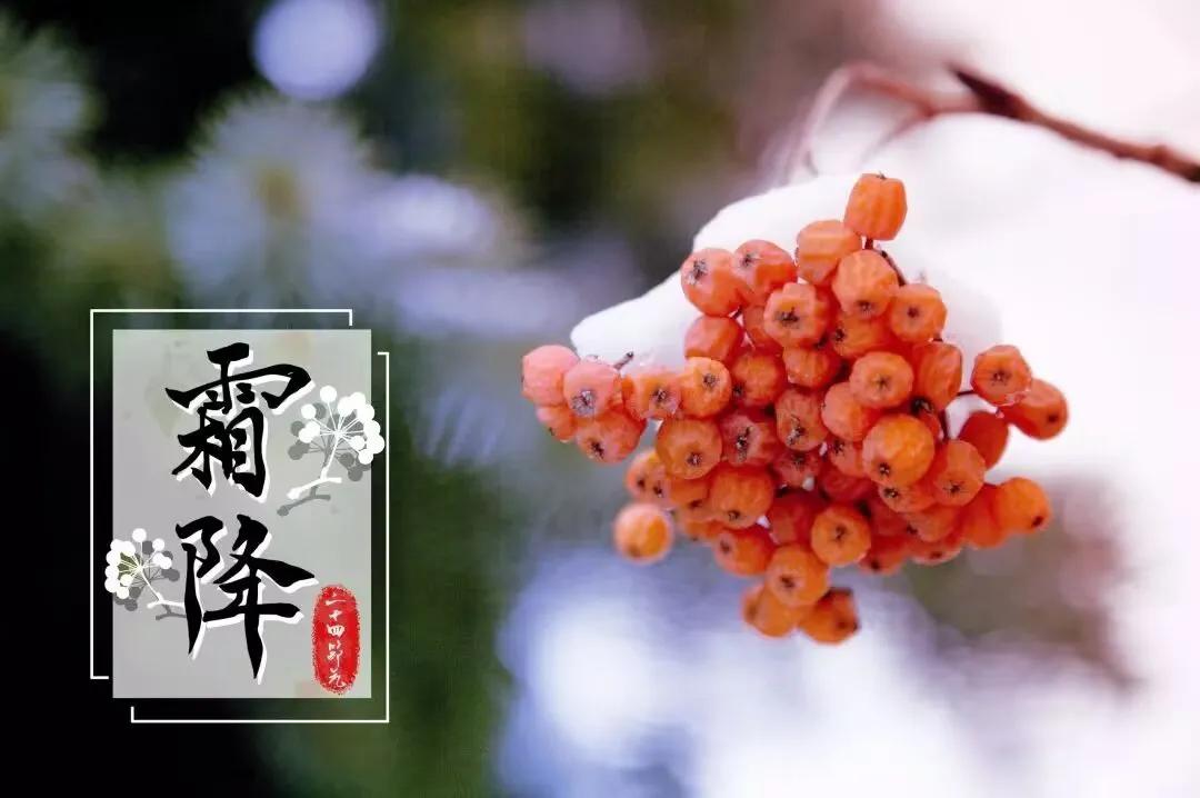 霜降过后，山河暮秋，暖意心上。在聒噪的尘世中，守住一颗干净的心，任繁华落幕。想做