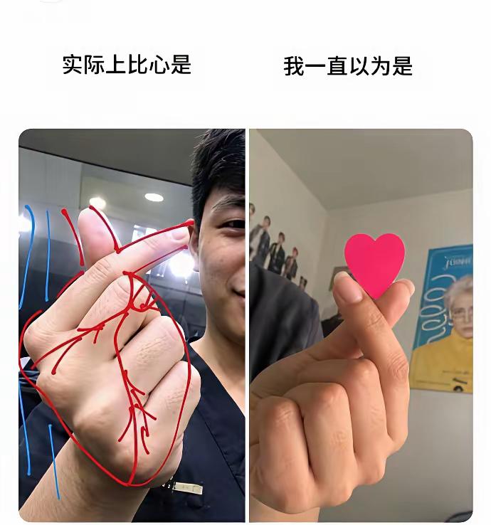 原来比心比的是心脏！
