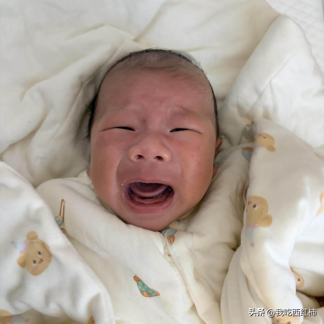 一换尿片就哭怎么回事啊🥲
小馒头从还在月子里就是一换尿片就嗷嗷哭，也换过换尿片