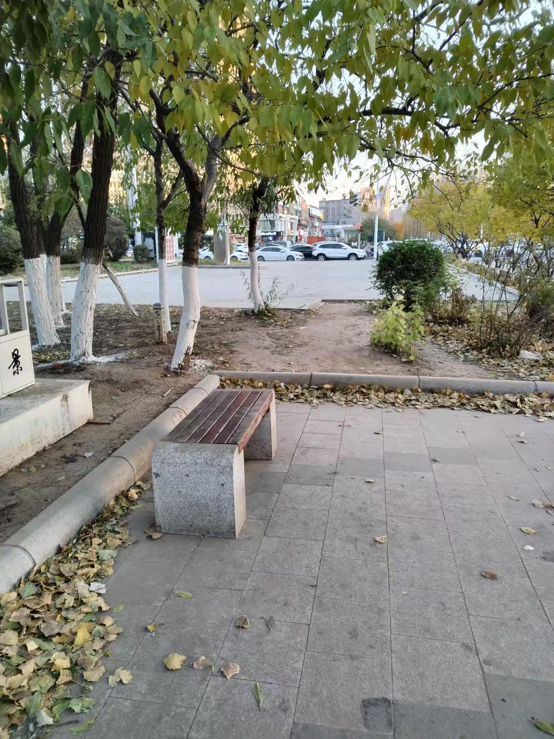 早晨醒来，忽然有点惆怅。
莫名地想起，彭祖活了800多岁。
我要是也活到这个岁数