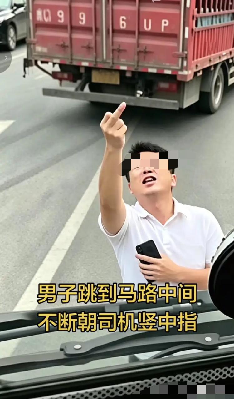 真的百思不得其解！总有人在路上盲目嚣张，拿自己的性命去挑衅、激怒大货车司机。血肉