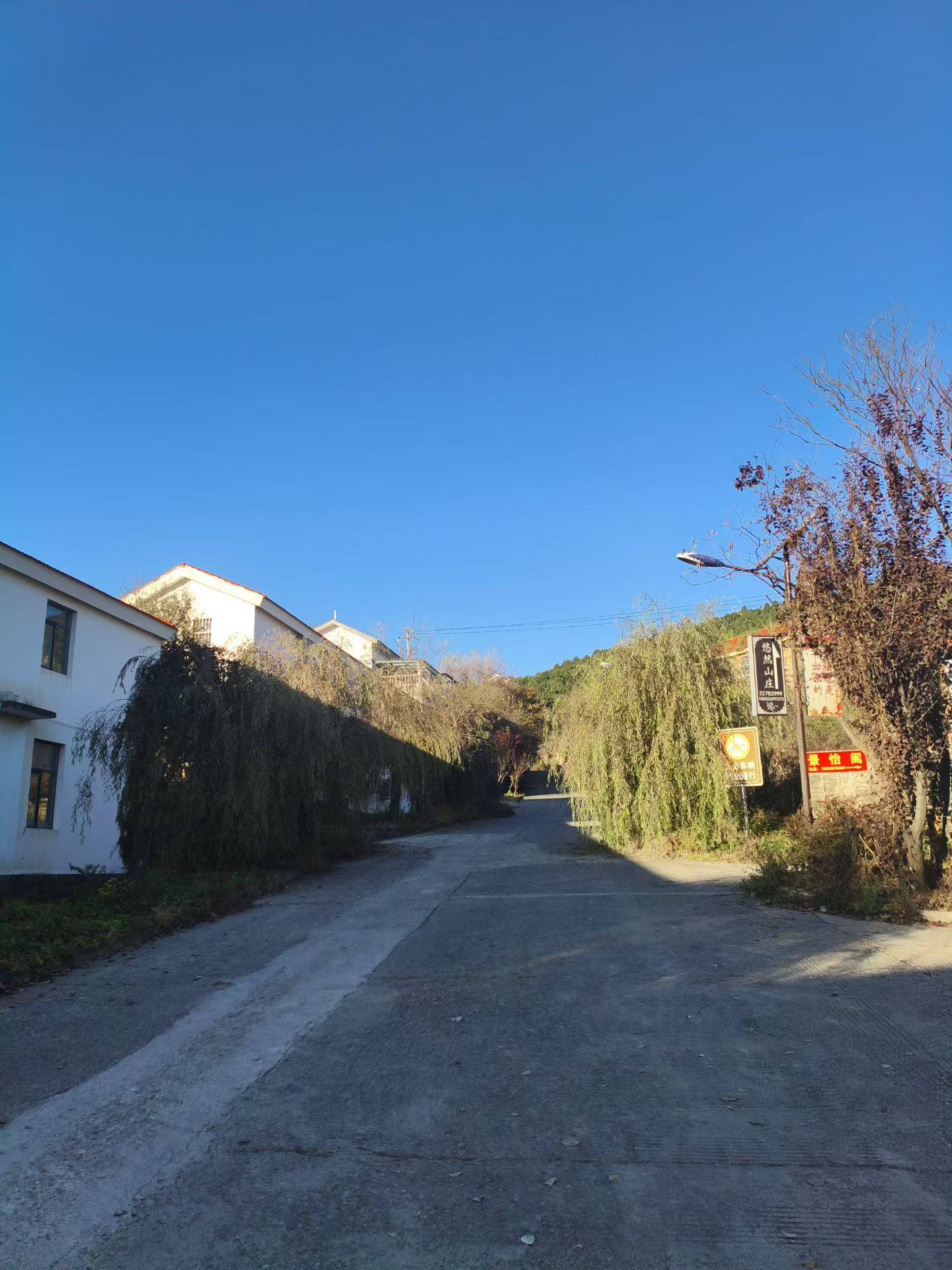 新的一天，做自己喜欢的事，过简单的生活，早安！ ​​​