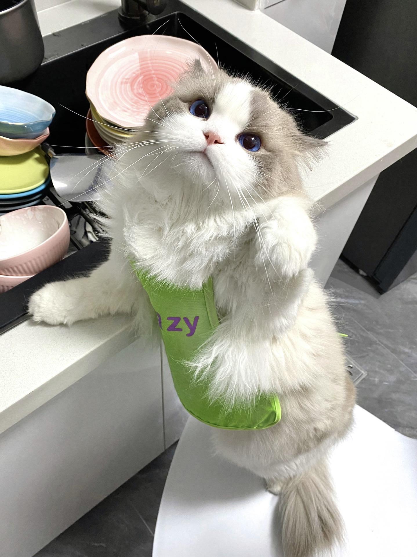 妈！今晚谁也别想跟我抢着洗碗。