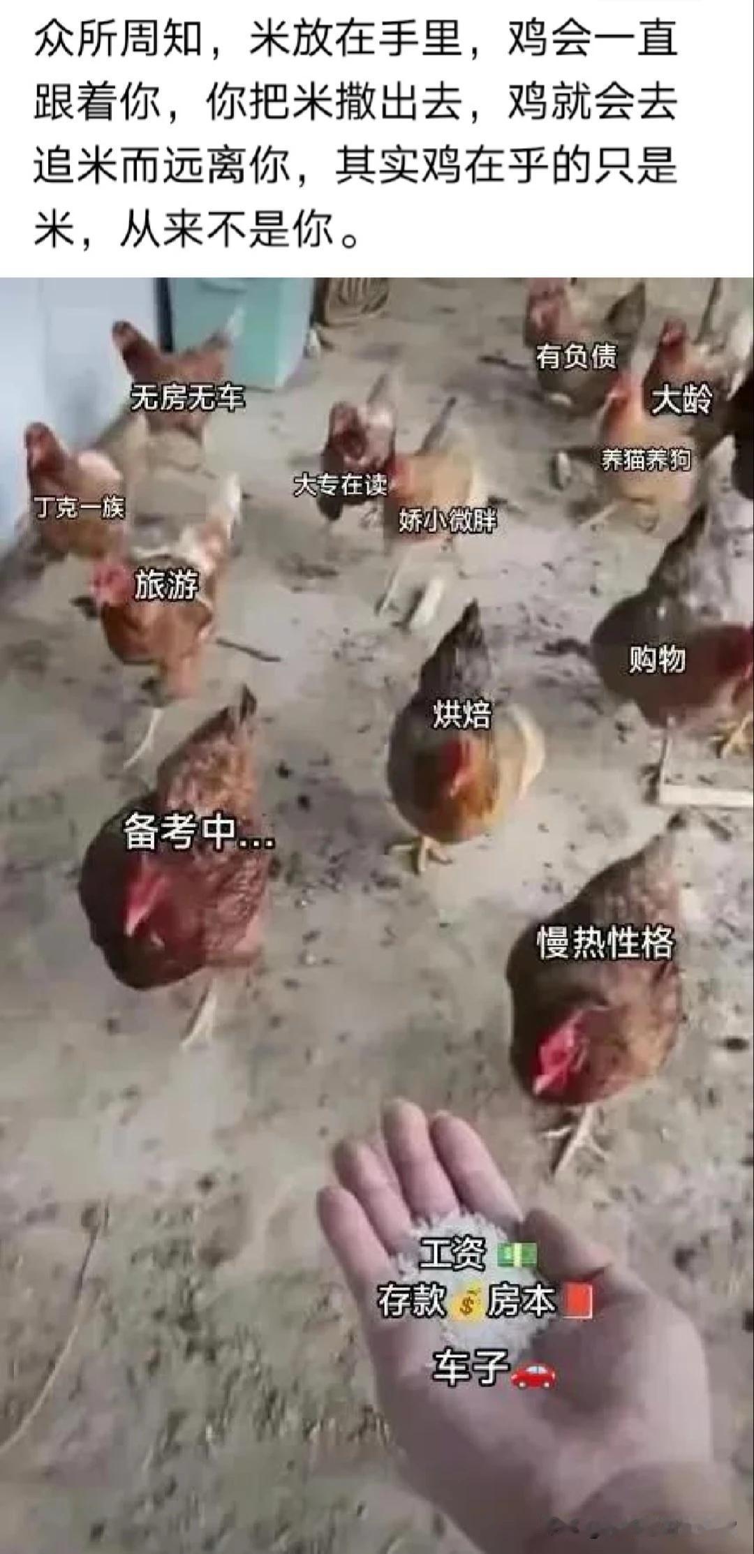 形象生动[赞][赞]