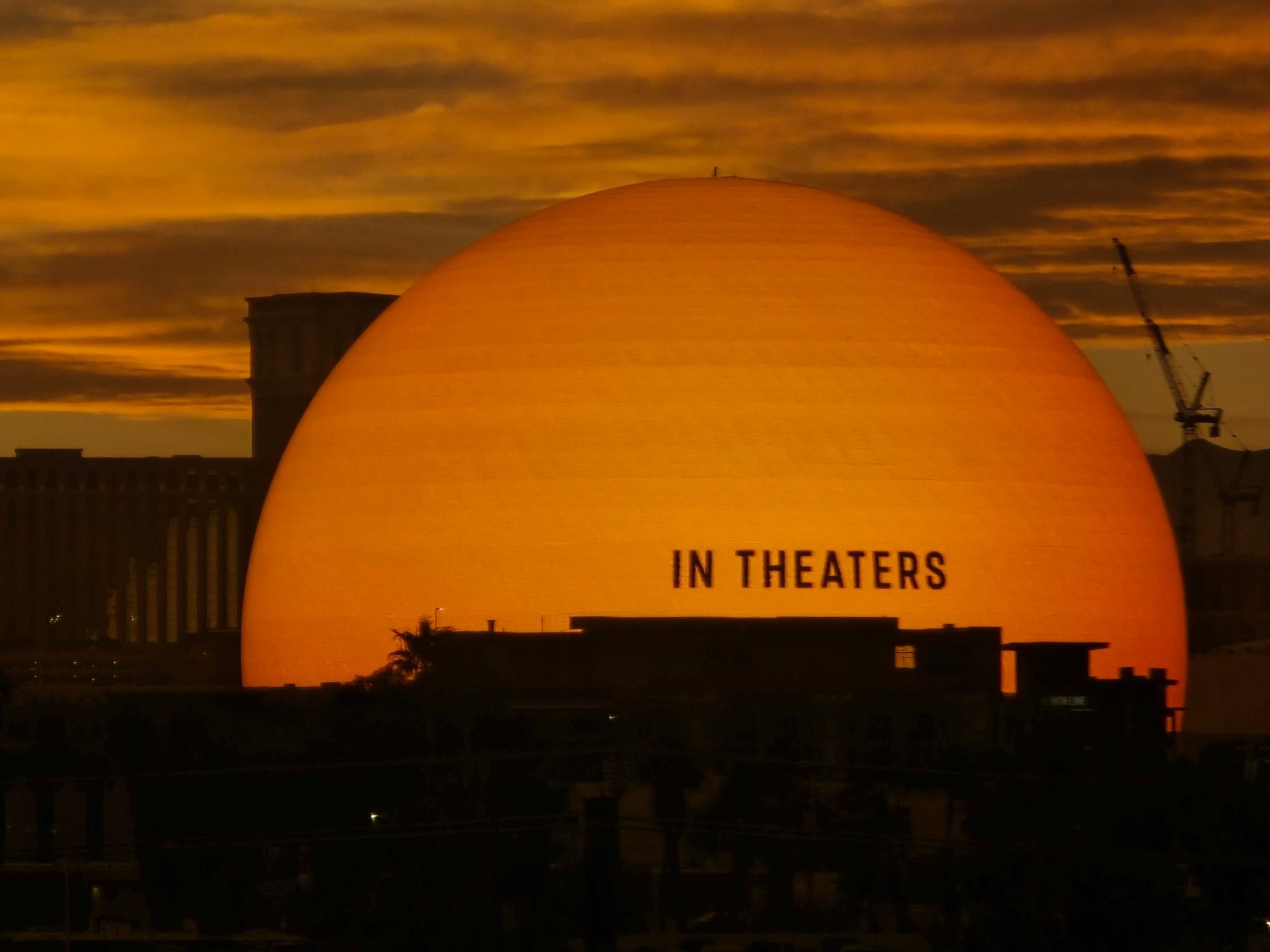 甜茶新片《至尊马蒂》未映先火！预售创下A24公司历史新纪录，连爆米花桶都是一颗巨