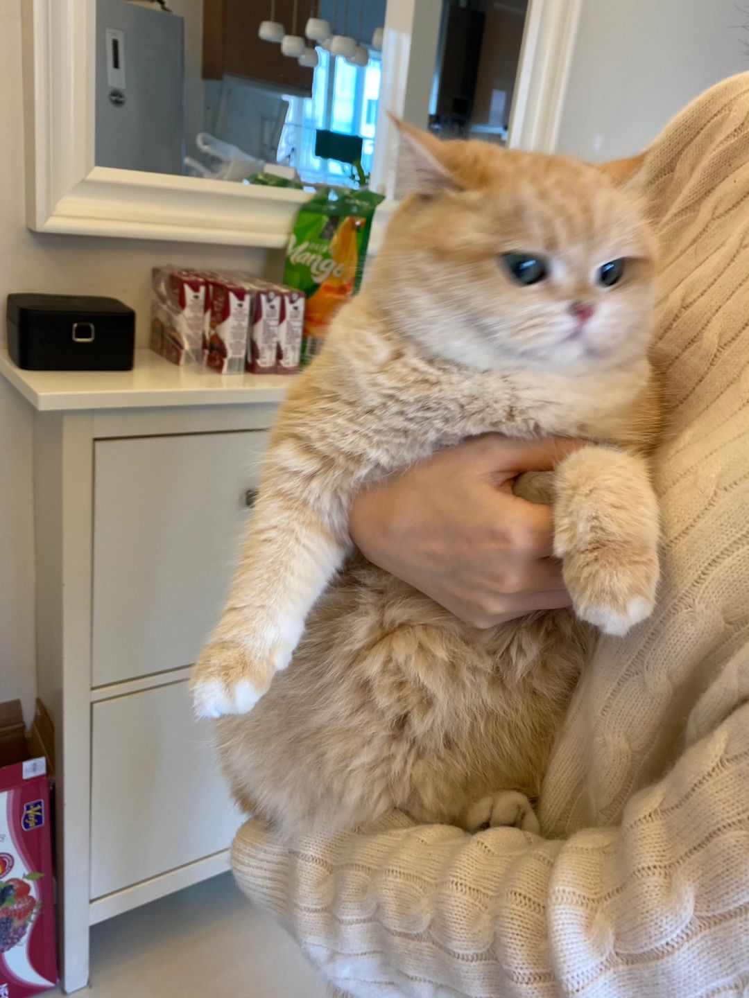 发一点焦糖小猫咪的日常