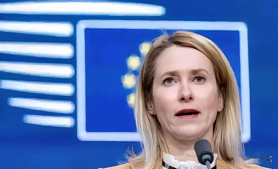 欧盟外长放话“难单挑中国” 欧洲各界反手打脸：谁跟钱过不去？

欧盟外长卡拉斯一