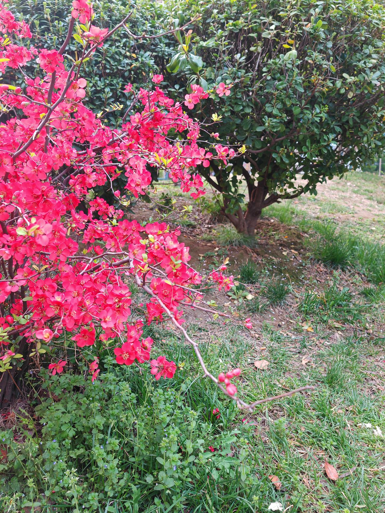 汉赵帝国皇太弟刘乂认为自己是嫡子，皇位应该是自己的。只是因为自己年龄尚小，暂时由