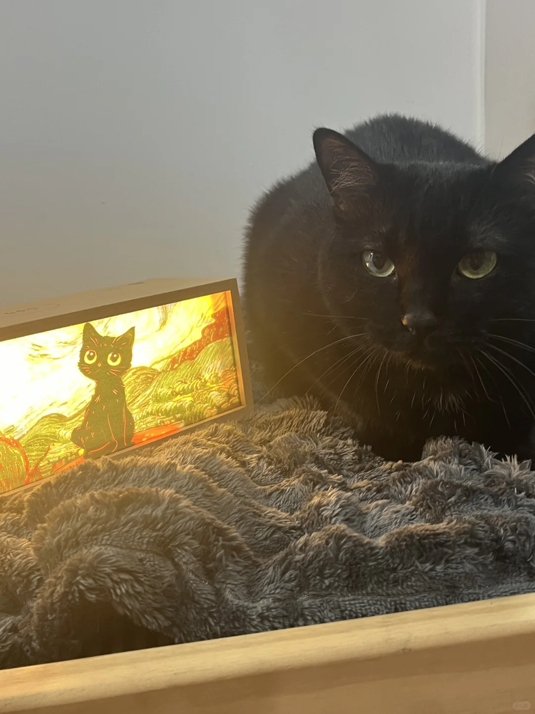 小黑猫夜灯get