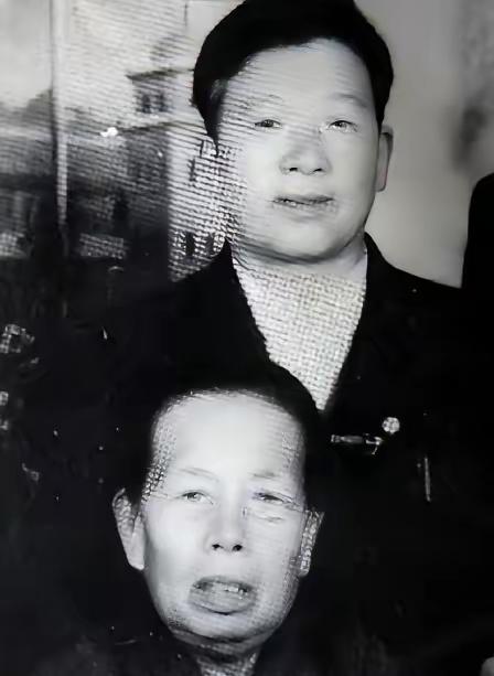 1994年，在被中国收养近50年后，日本遗孤赵连栋在踏上日本国土之后，再也没有给