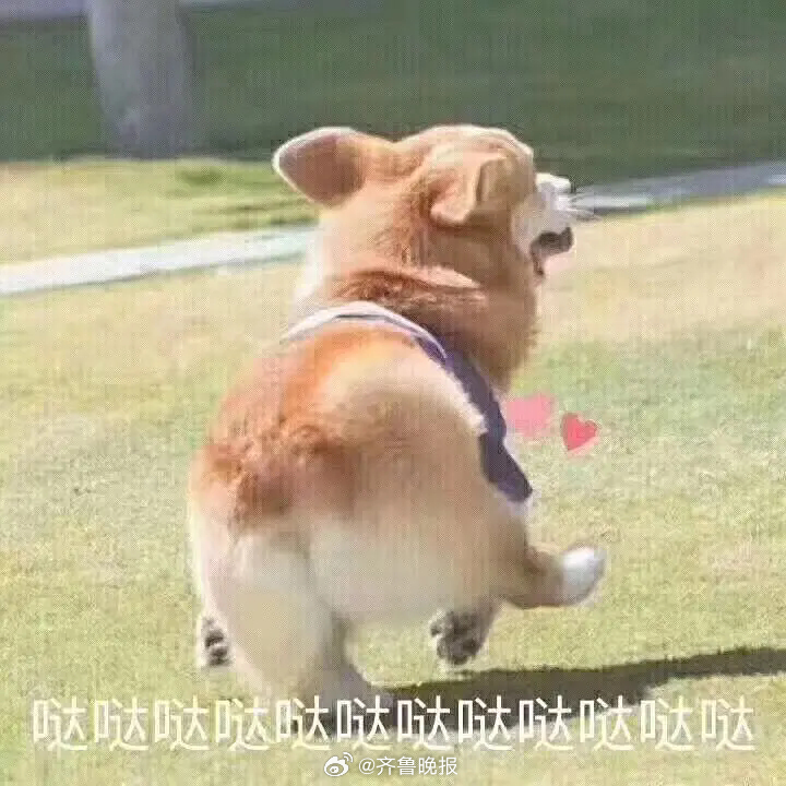 #早安# 停止胡思乱想是保持开心的最好方式