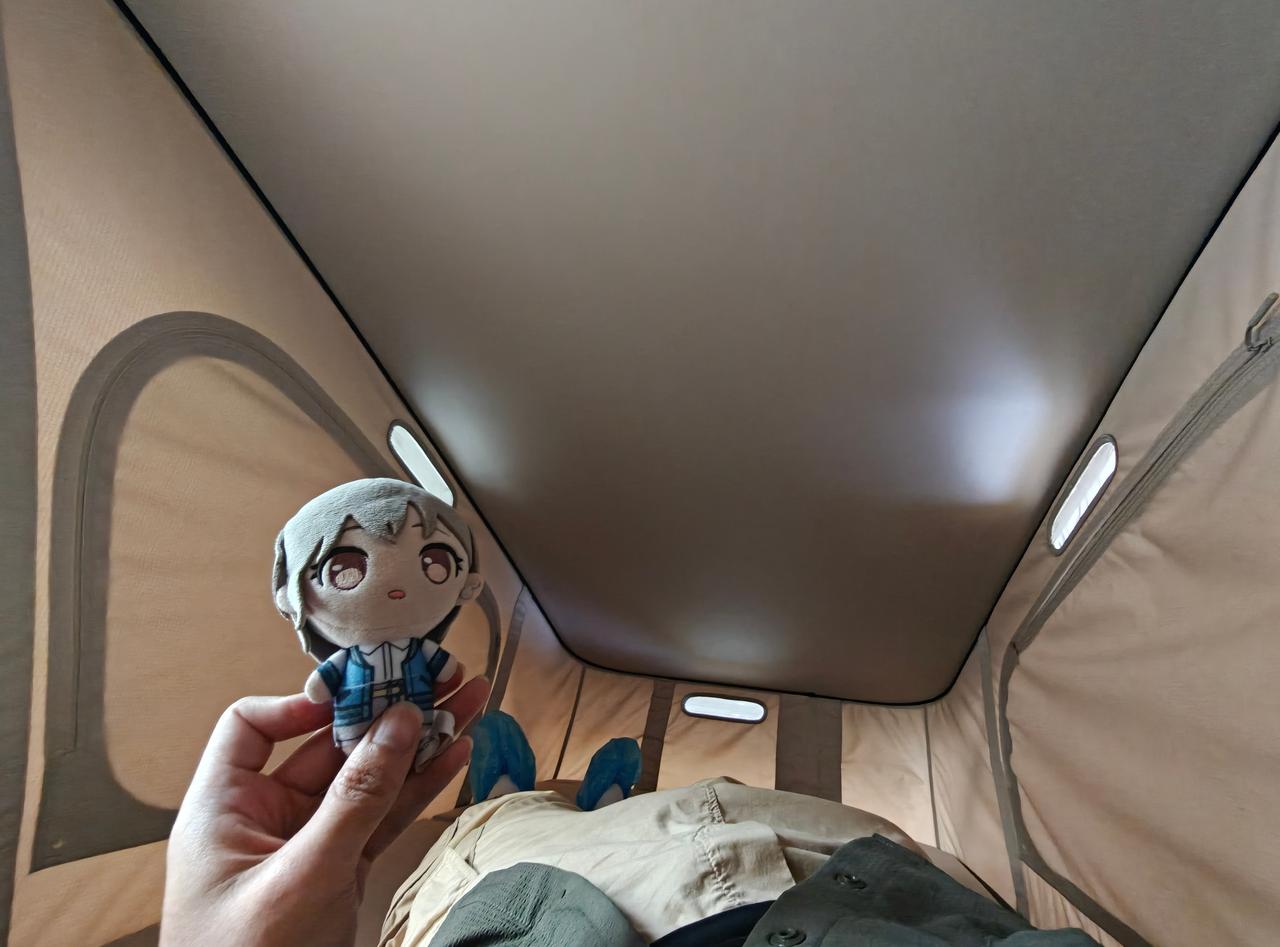 今天拍飞机最好的时间我居然在看skynomad开关顶棚[捂嘴哭]
不过喝了小米之