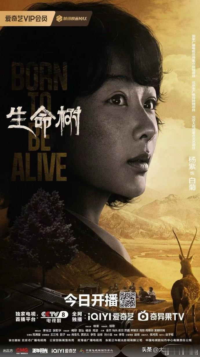 说实话，生命树虽然杨紫是一番，但这个剧角色讨论热度更高的，大概是会是胡歌。

无