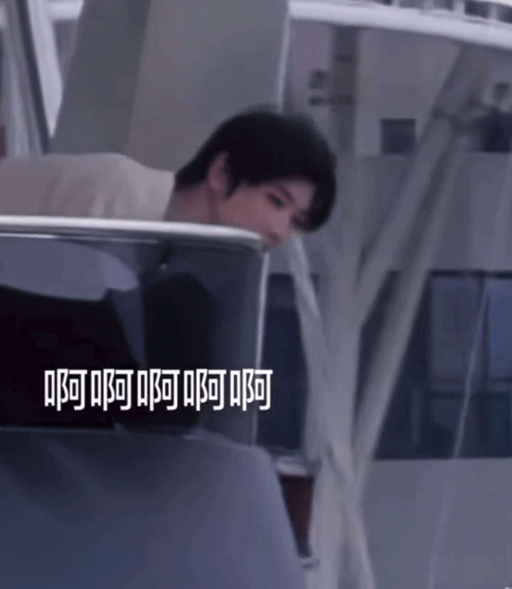 小猫探头 