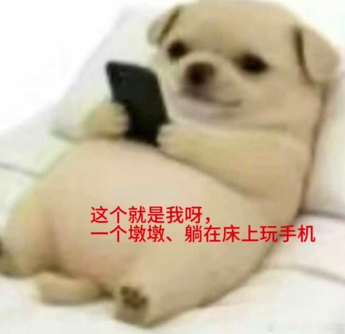 分享图片 ​​​