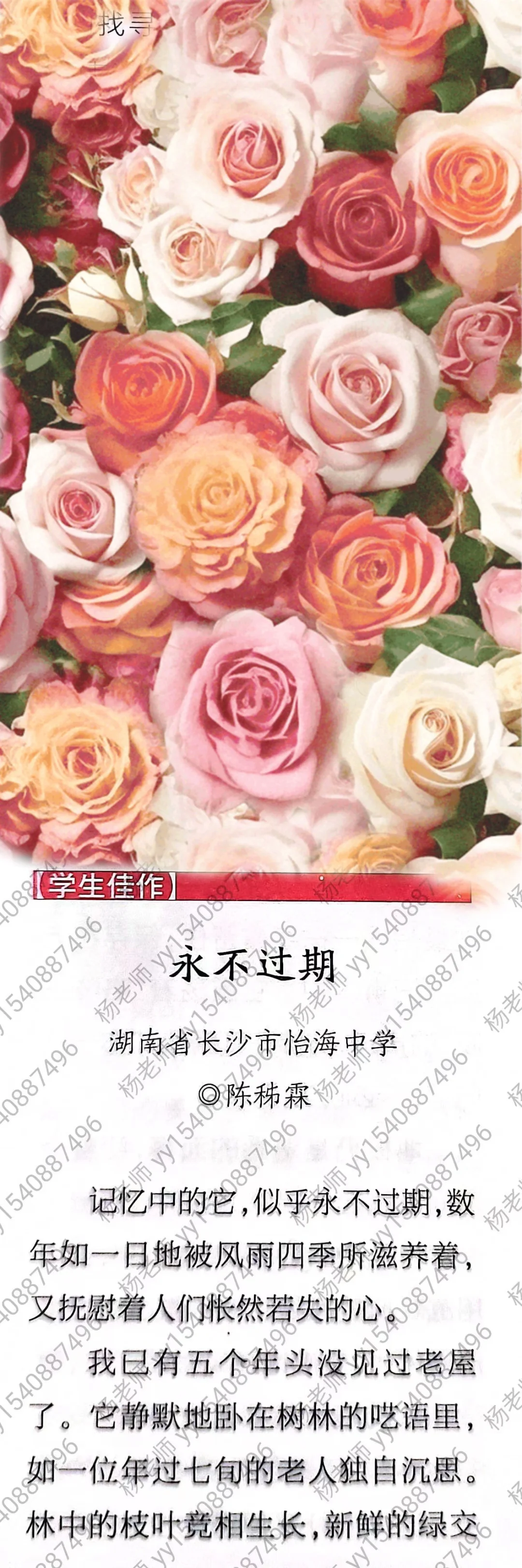 高分作文素材：永不过期 乡情+回忆+温暖