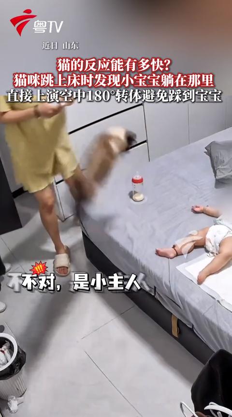 山东，一只猫咪想跳上床，腾空那一刻突然发现小主人躺在床上，硬是在半空中强行拐弯，