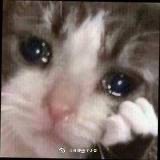 暖嘟嘟爱读科技