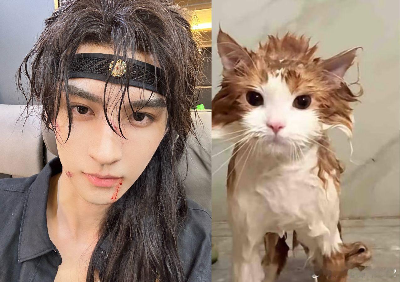 黄俊捷 落汤猫终于懂男生看甜妹的那种感觉了 黄俊捷完全就是我的甜菜～ 坐等新剧 