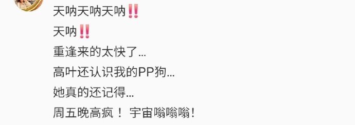 高叶 比人先认出来的是狗 这波追星太会了！网友高举柯基见高叶，狗狗吸睛度碾压主人