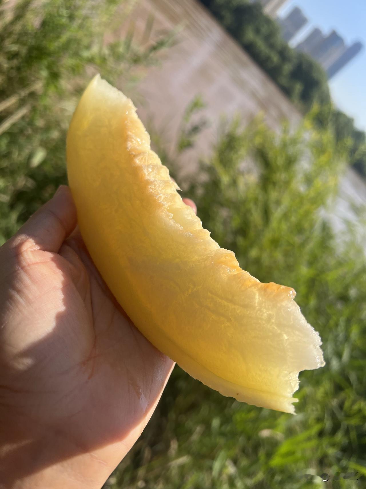 24块钱买了三个蜜瓜，个个都好吃
今天早晨买的是兰州特产蜜瓜，它产自于皋兰县，这