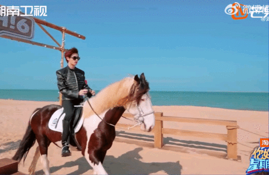 檀健次丁程鑫本命马檀健次和丁程鑫，属马又默契，这组合名字“本命马”太贴切了，笑点