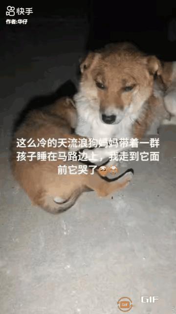 太可怜了！这天，一位小哥哥去夜跑，结果跑到一条马路上的时候，看到无比凄惨的一幕，