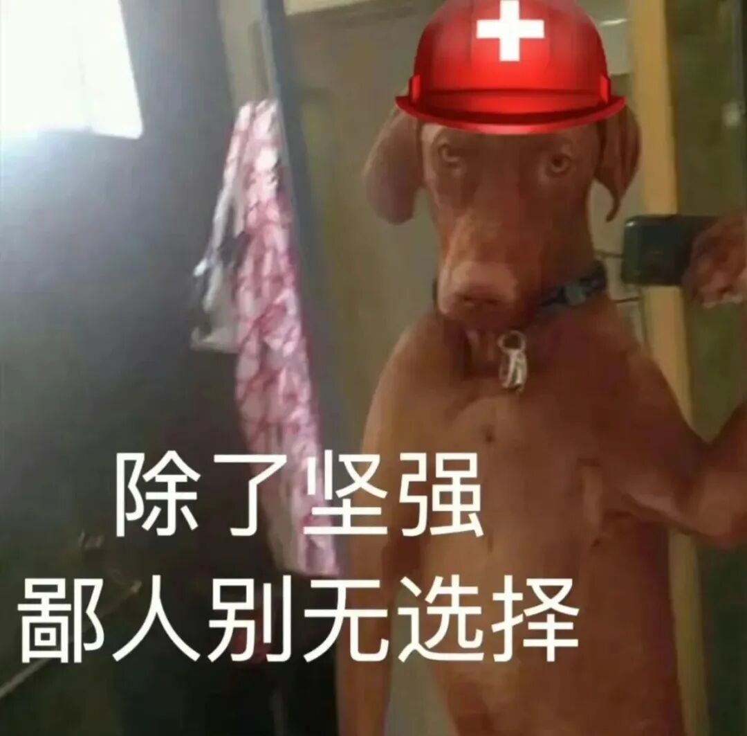 𝑺𝒉𝒂𝒓𝒆·表情包丨表情包永远不嫌多 ​​​