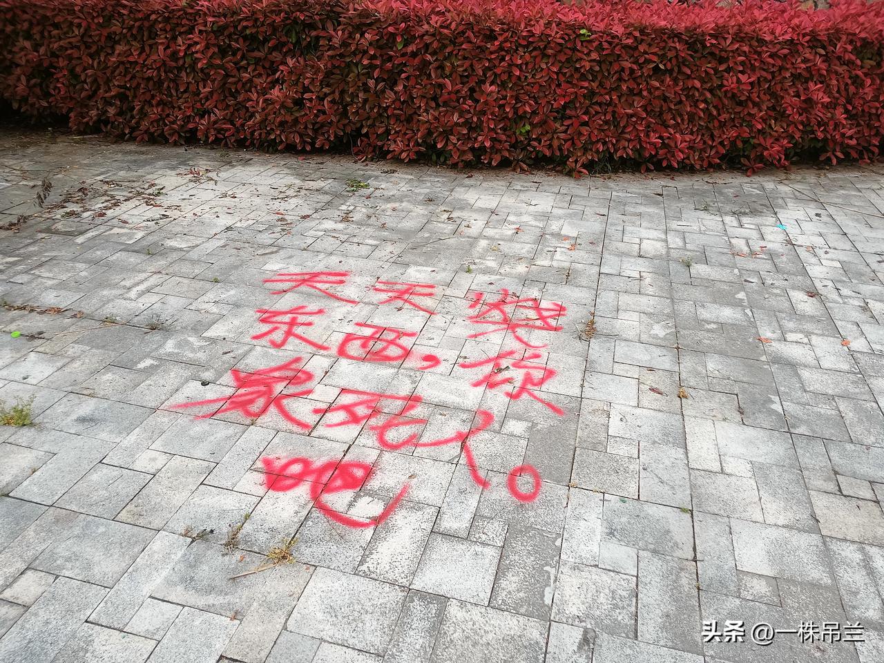 晒图笔记大赛这个应该是不胜其烦的环卫工人书写的！其他人犯不着写这样的文字！