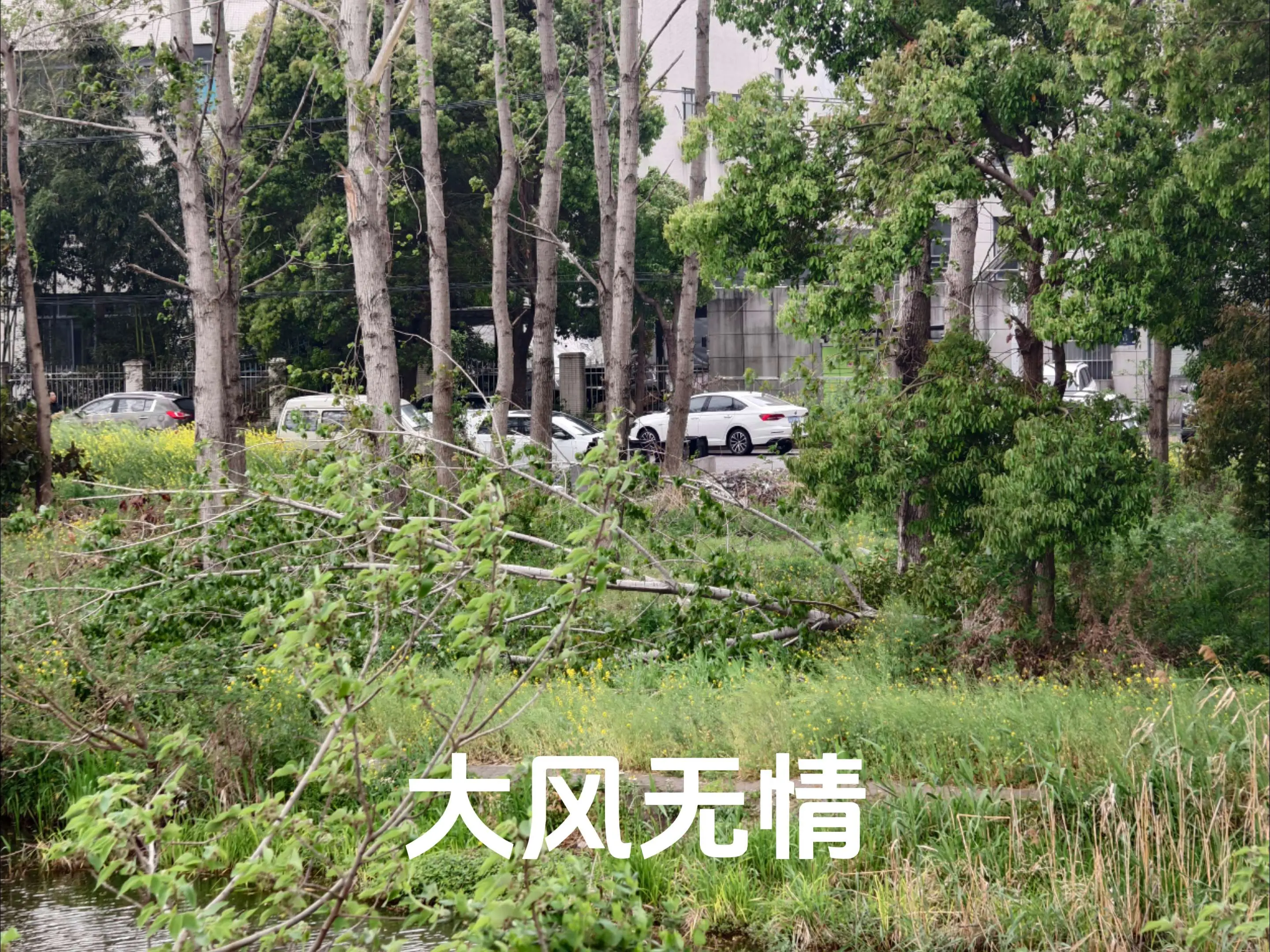 工地不是家却是我一年呆最长时间的地方，一个简单温馨的小窝！ 这大风即是...