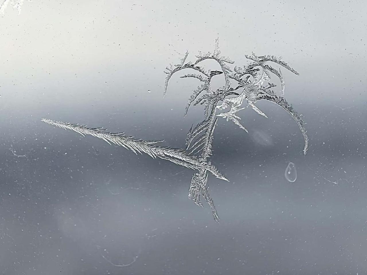 冬天，
既渴望冰雪世界，
又渴望温暖阳光！
一对充满矛盾与哲理的……