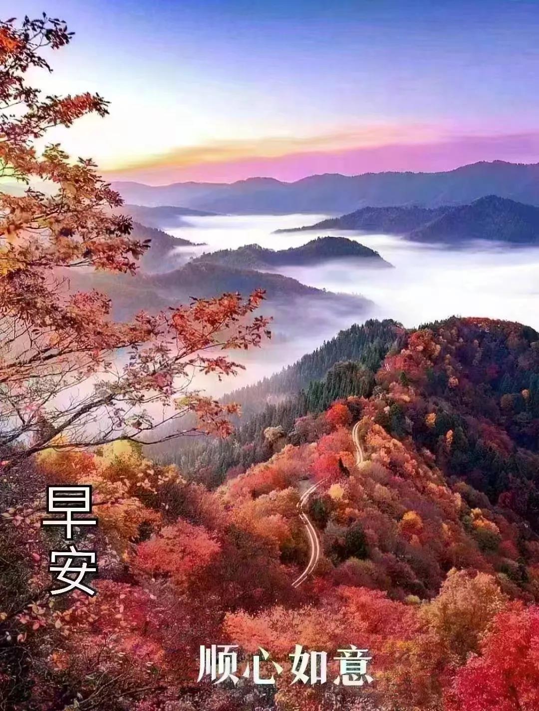 秋雨细绵绵，风微寒添添。。。
我思往岁月，何如今云烟。。。。
#也学章师诗岁月#