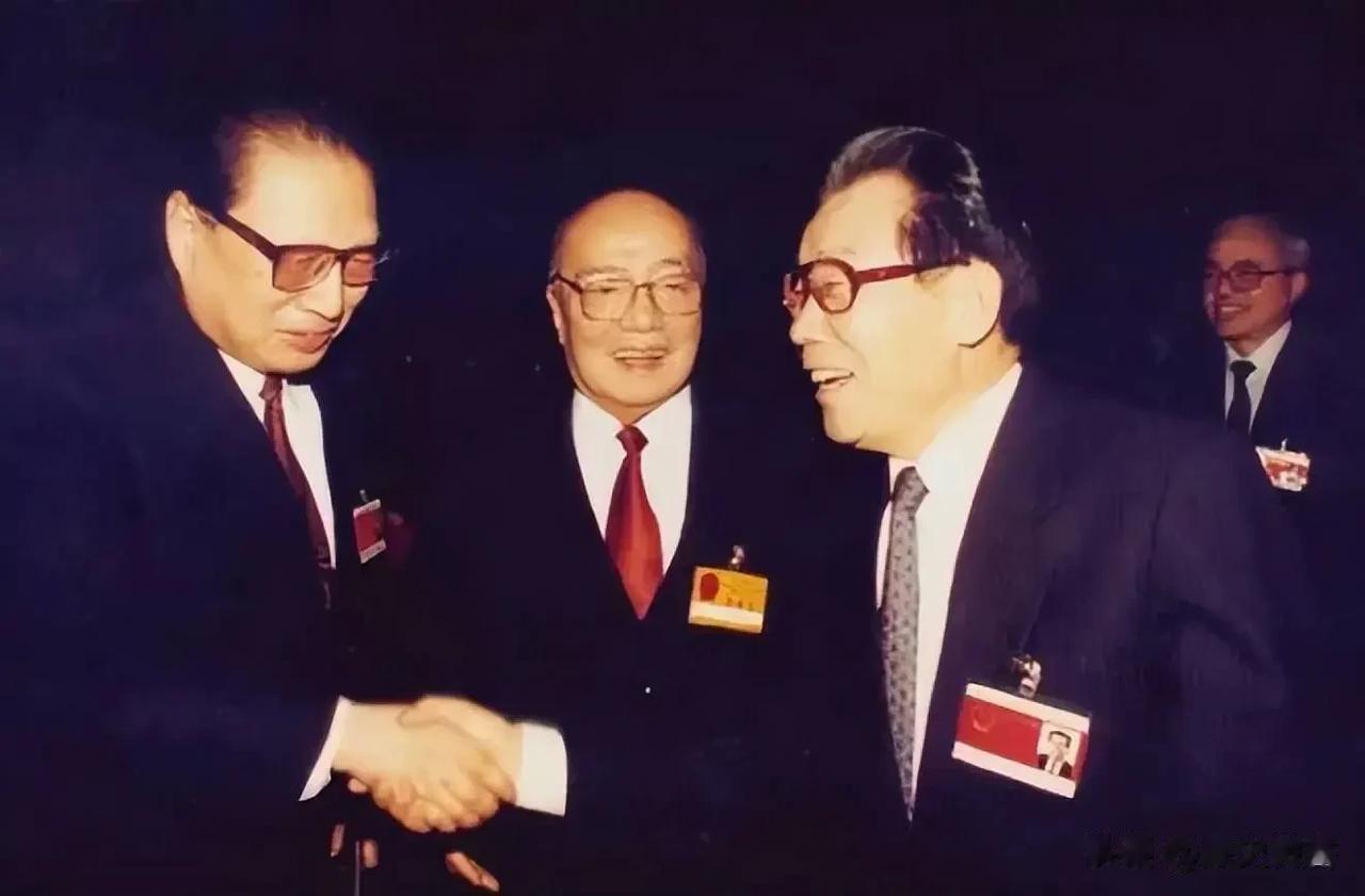 1993年3月27日，全国政协八届一次会议期间，刚刚卸任国家主席一职的杨尚昆同志
