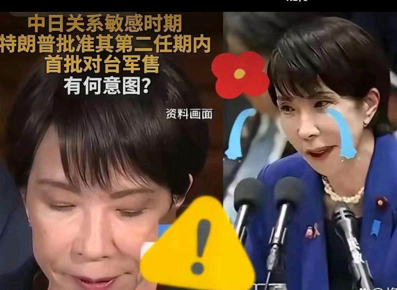 这次日本挑起的舆论战，我们没想到的是，国人冷静下来了。
十年前围绕日本的挑衅，动