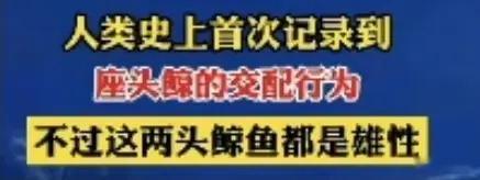 ？？成都临海了？？ 