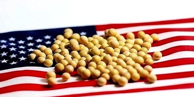美国大豆产量巨大，国内消化不足，盟国需求量小。
中国是全球最大买家，2024年进