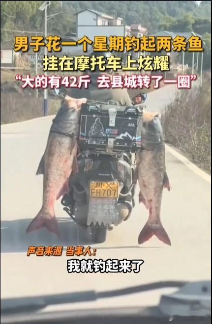 钓鱼爱好者的快乐是其他人不能理解的！四川广安一男子用一星期时间在江里钓了一条42