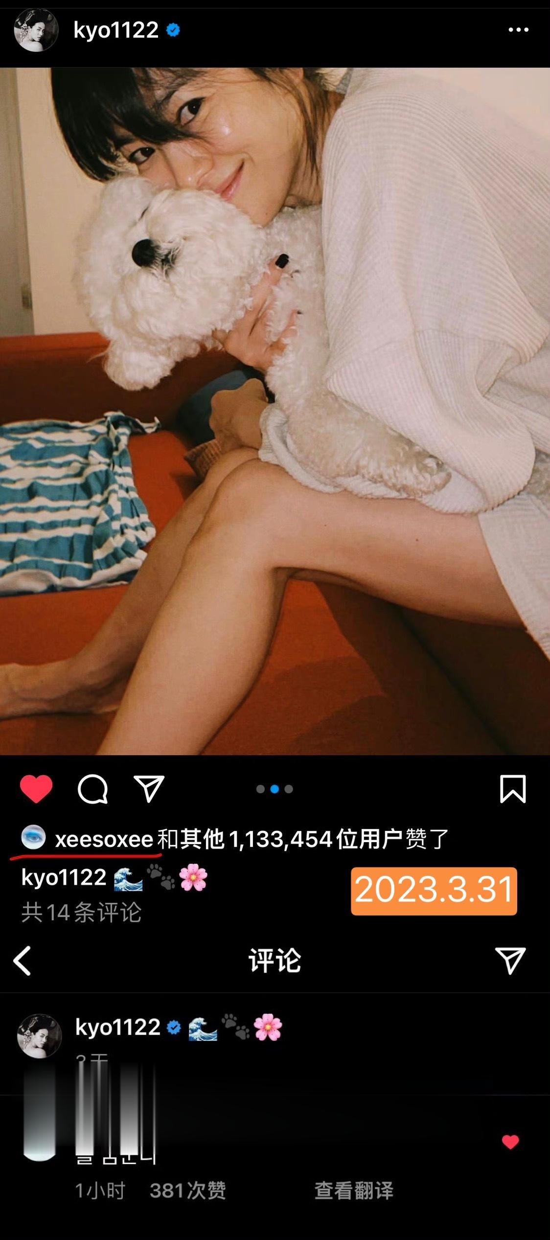 半年多了终于💧💧猫猫狗狗立大功！！！😭😭😭 ​​​