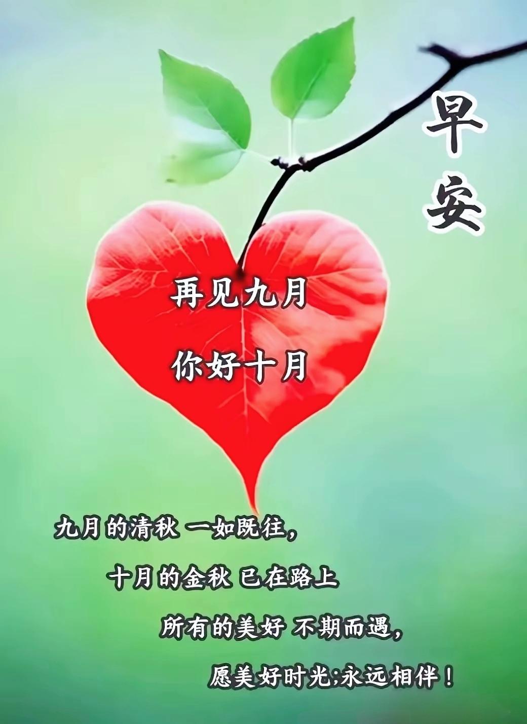 早安，金秋十月如约而至。愿所有美好悄然相逢，常伴左右。
作者加速成长计划