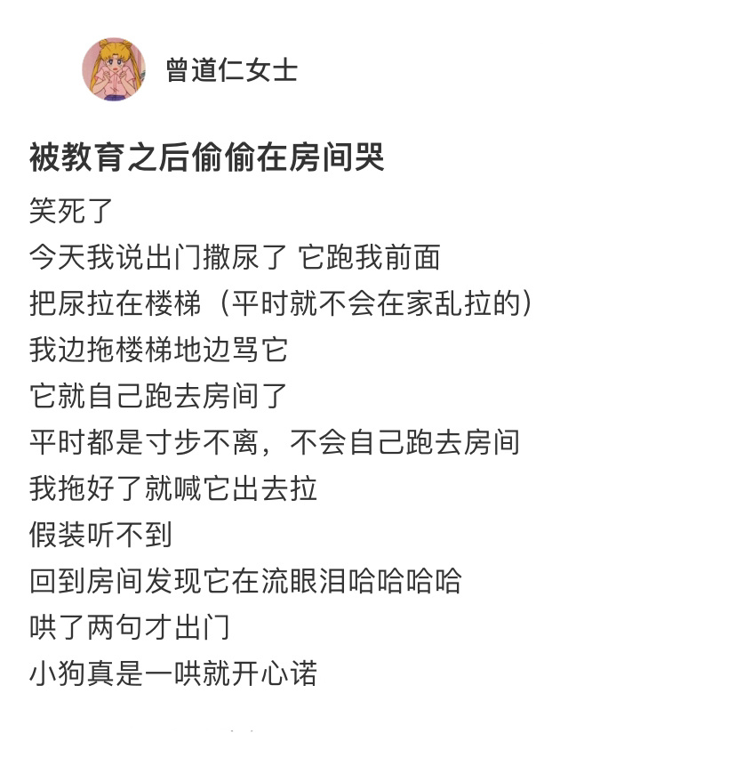 小狗乱尿被教育后偷偷在房间哭[可怜] ​​​