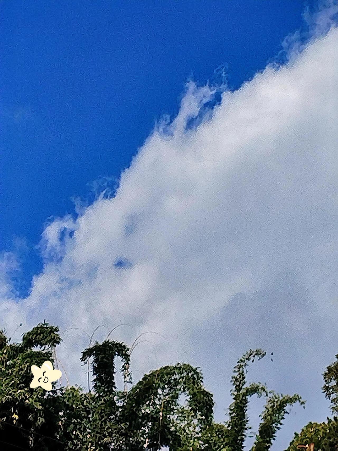 蓝天白云下的绿意盎然，生机勃勃的自然之美。🌿🍃🌤️