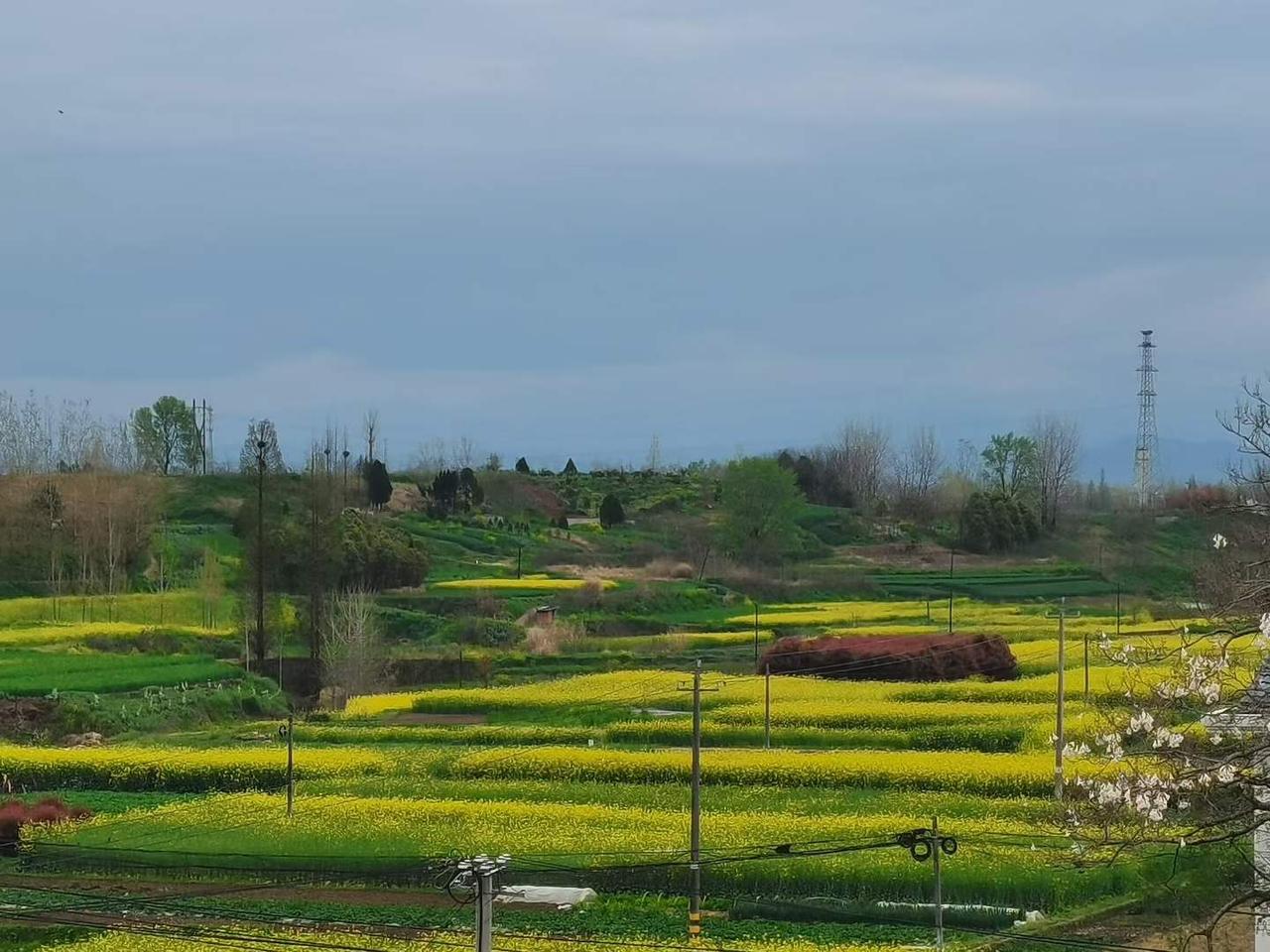 城人美事我在，我在汉中，我在汉中汉台区，我在汉中汉台区天台山脚下——啊!窗外就是