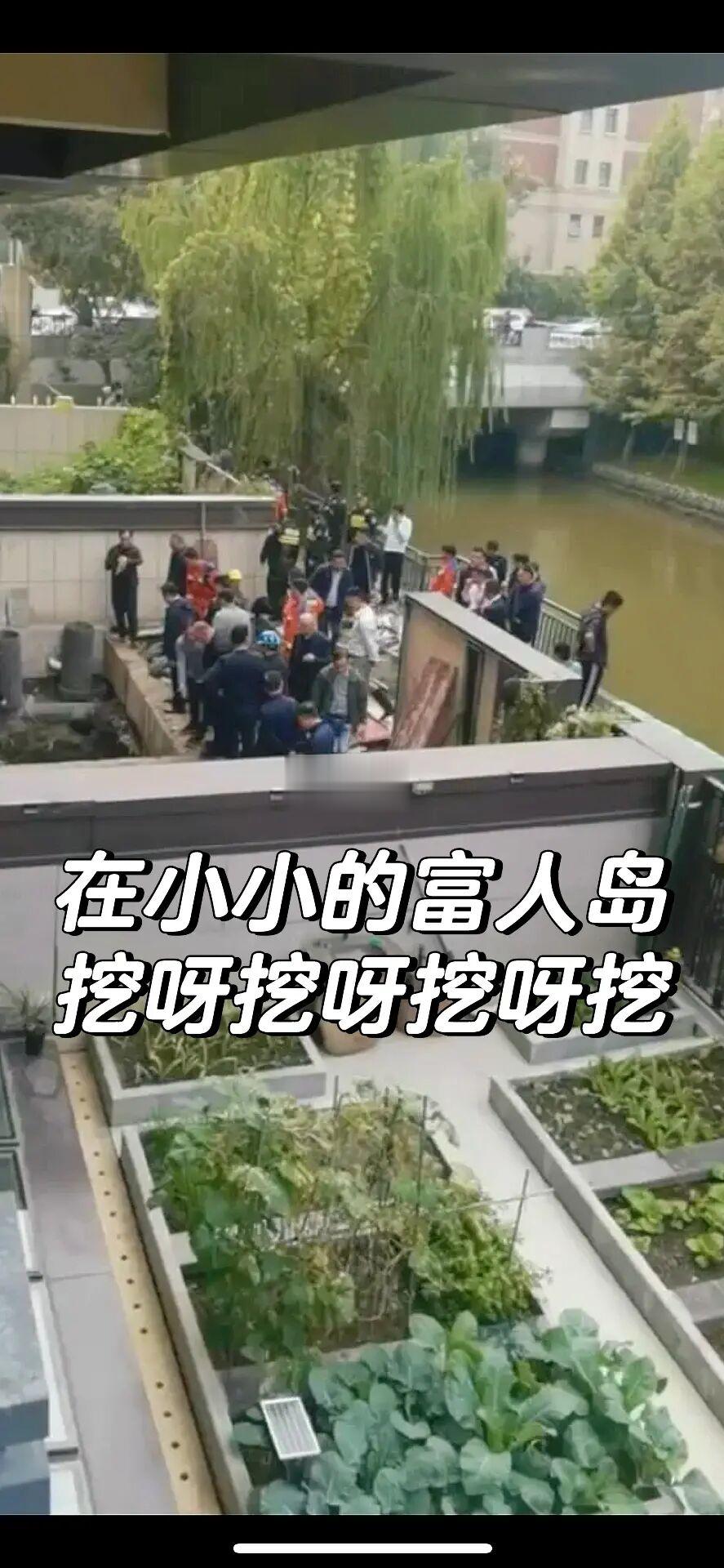 江心洲，出事了…