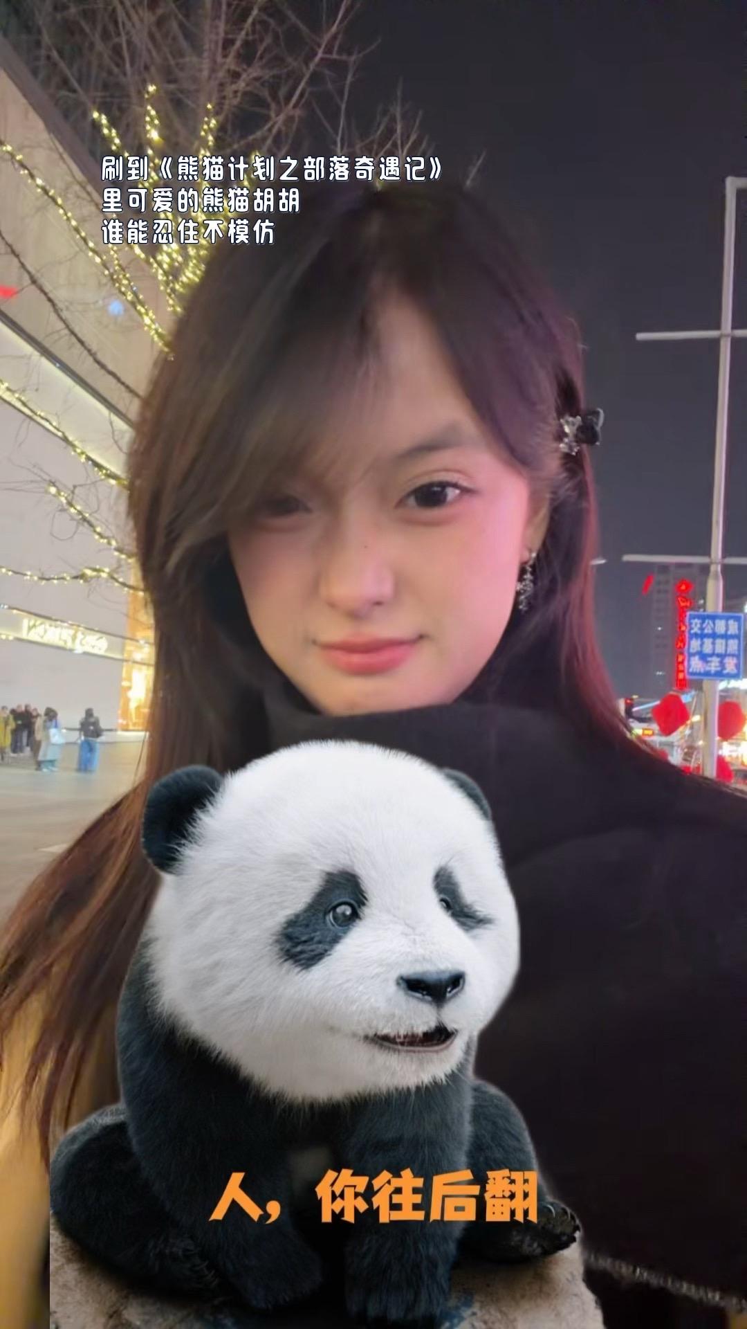 刚好在成都 结果刷了一天可爱的熊猫胡胡！坚持看到最后有惊喜 嘻嘻