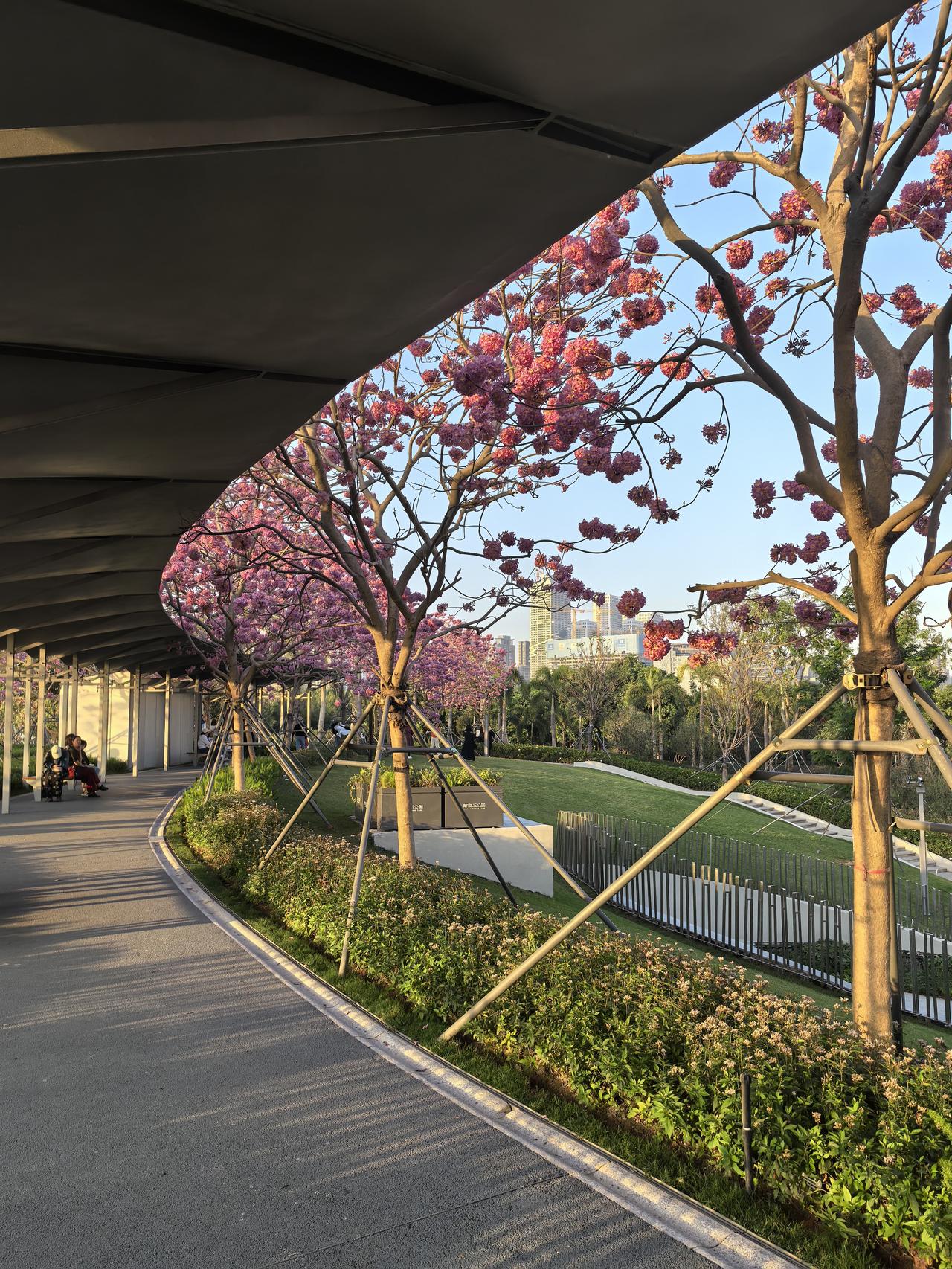 拍一张你所在城市最美的风景照片