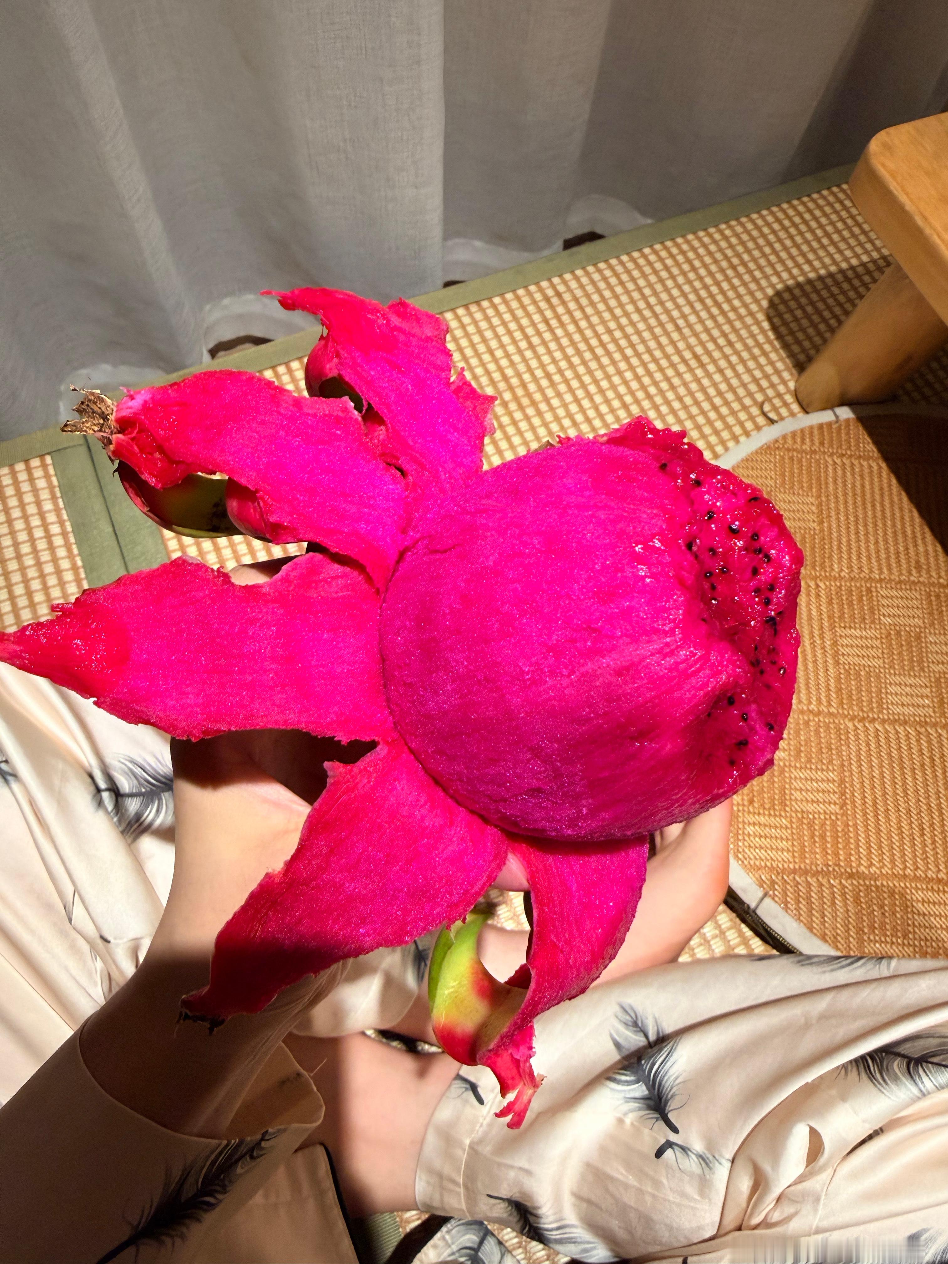 想吃火龙果，好困但是不想睡
